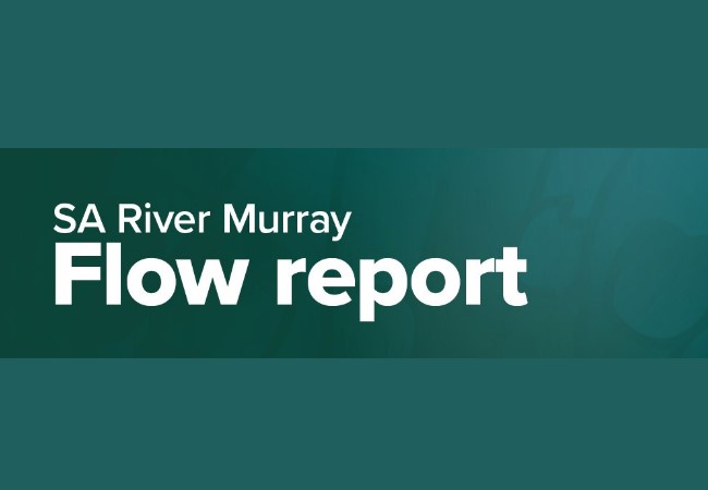 Flow Report Edited